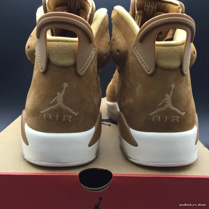 Jordan Air 6 